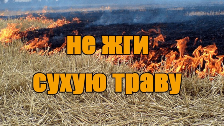 Поджог травы - это преступление в пожароопасный период. Поджог травы - это преступление в пожароопасный период.